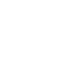 system